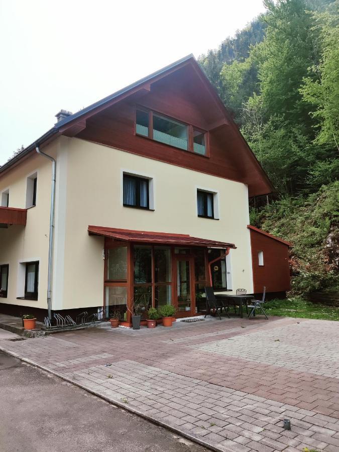 Seeblick Krippenstein Obertraun Exterior foto